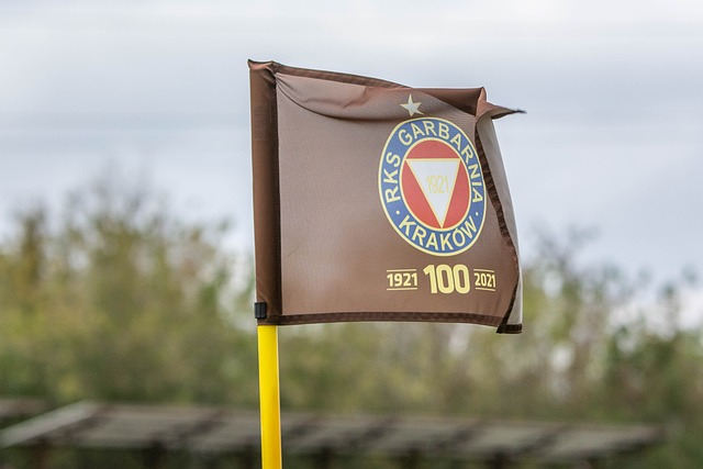 日的劲敌 日的劲敌