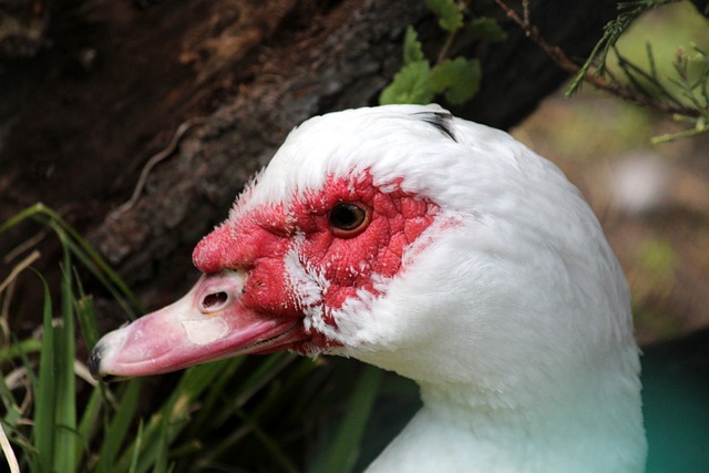 更需要适应 更需要适应