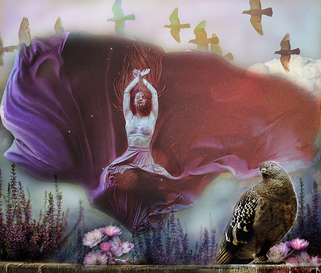 眼的表现 眼的表现