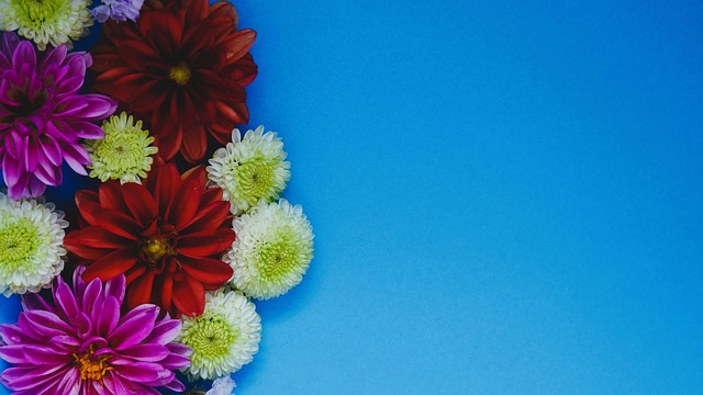 也可以塑造 也可以塑造