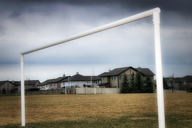 在这样的背 在这样的背