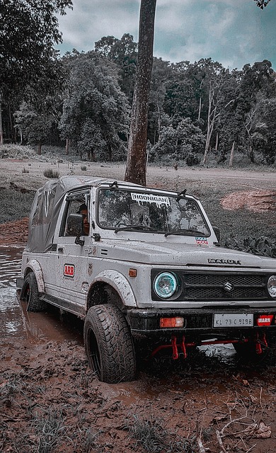 的全场掌控 的全场掌控