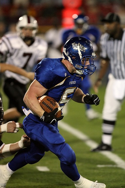 了观赏性 了观赏性