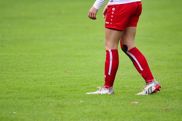 赛阵容等方 赛阵容等方