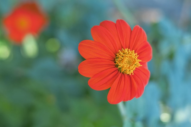 和出色的传 和出色的传