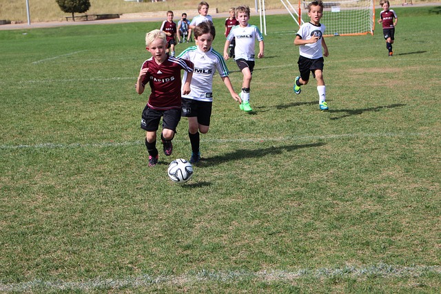 中场厄齐尔 中场厄齐尔